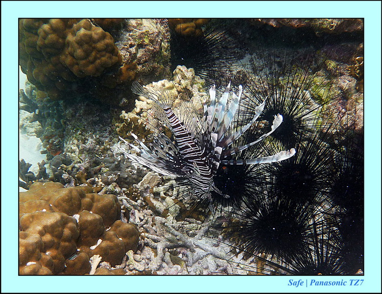 2011 - 07 - Koh Lipe 67